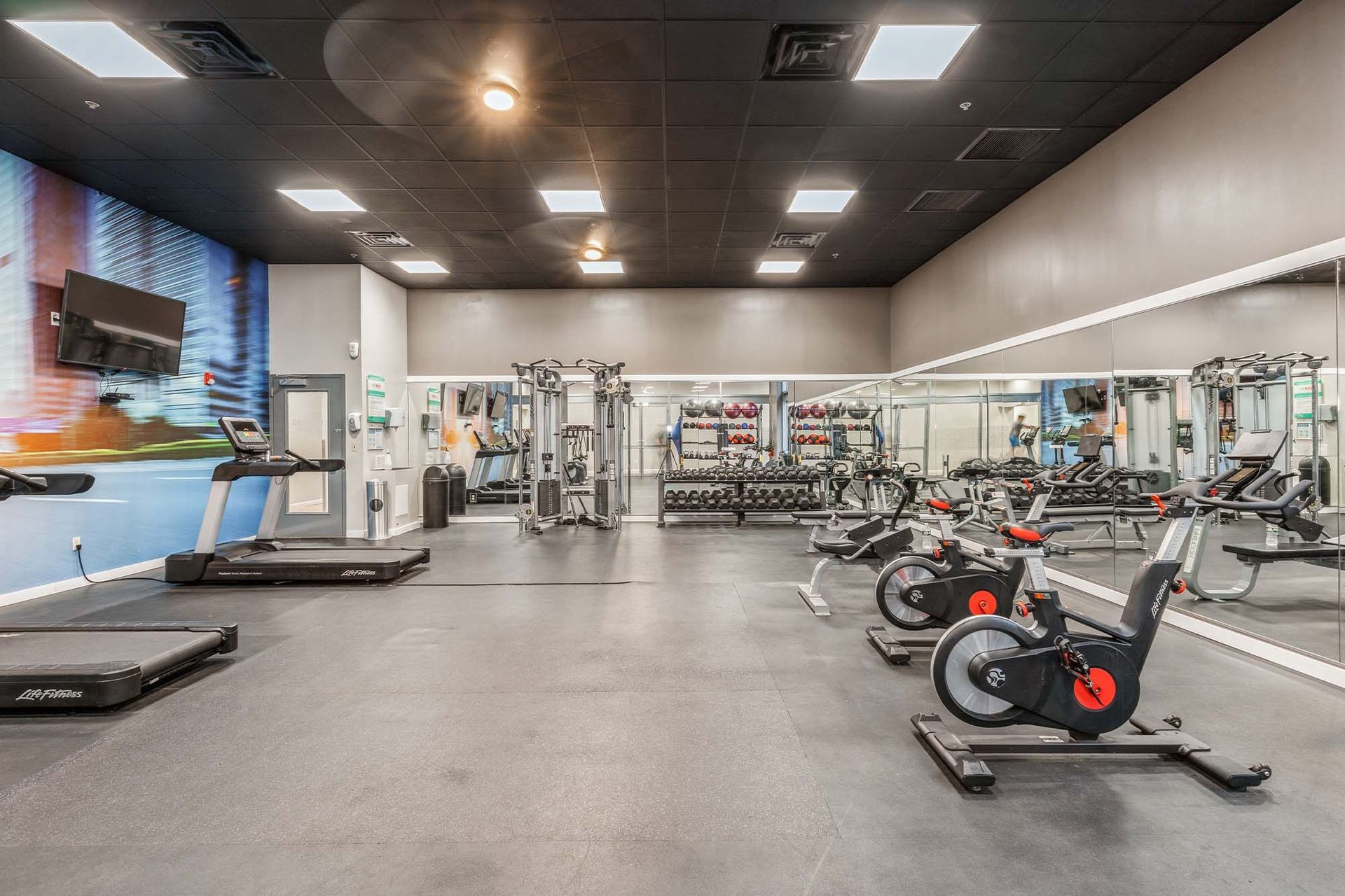 Indoor gym with treadmills, stationary bikes, weight machines, and a mirrored wall Parc at Lyndhurst in Lyndhurst, NJ.