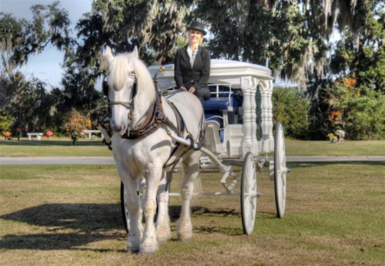 A woman is riding a horse drawn carriage in a field.