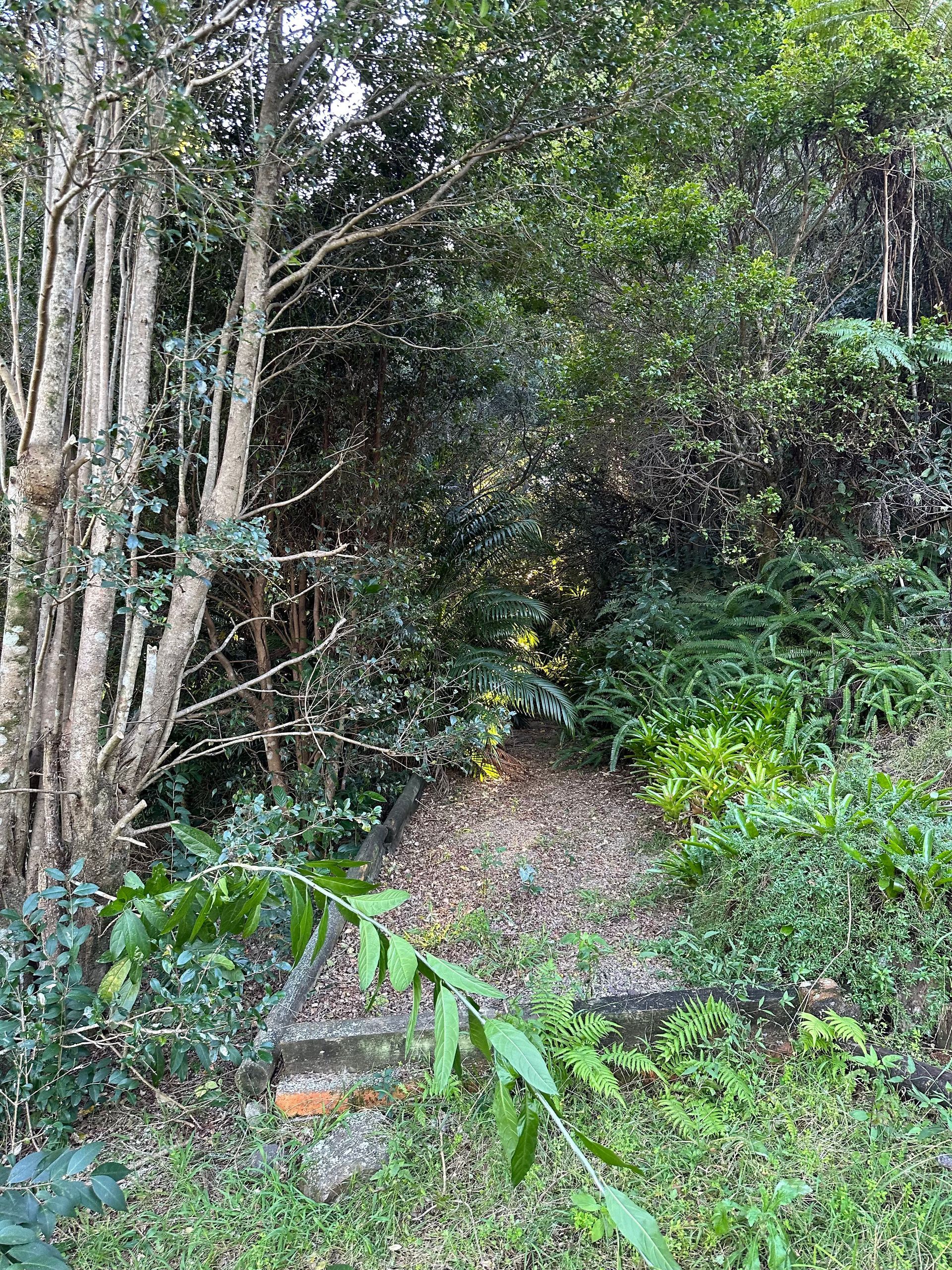 Man Trimming Hedges — DJK Landscaping & Maintenance in Sunshine Coast, QLD