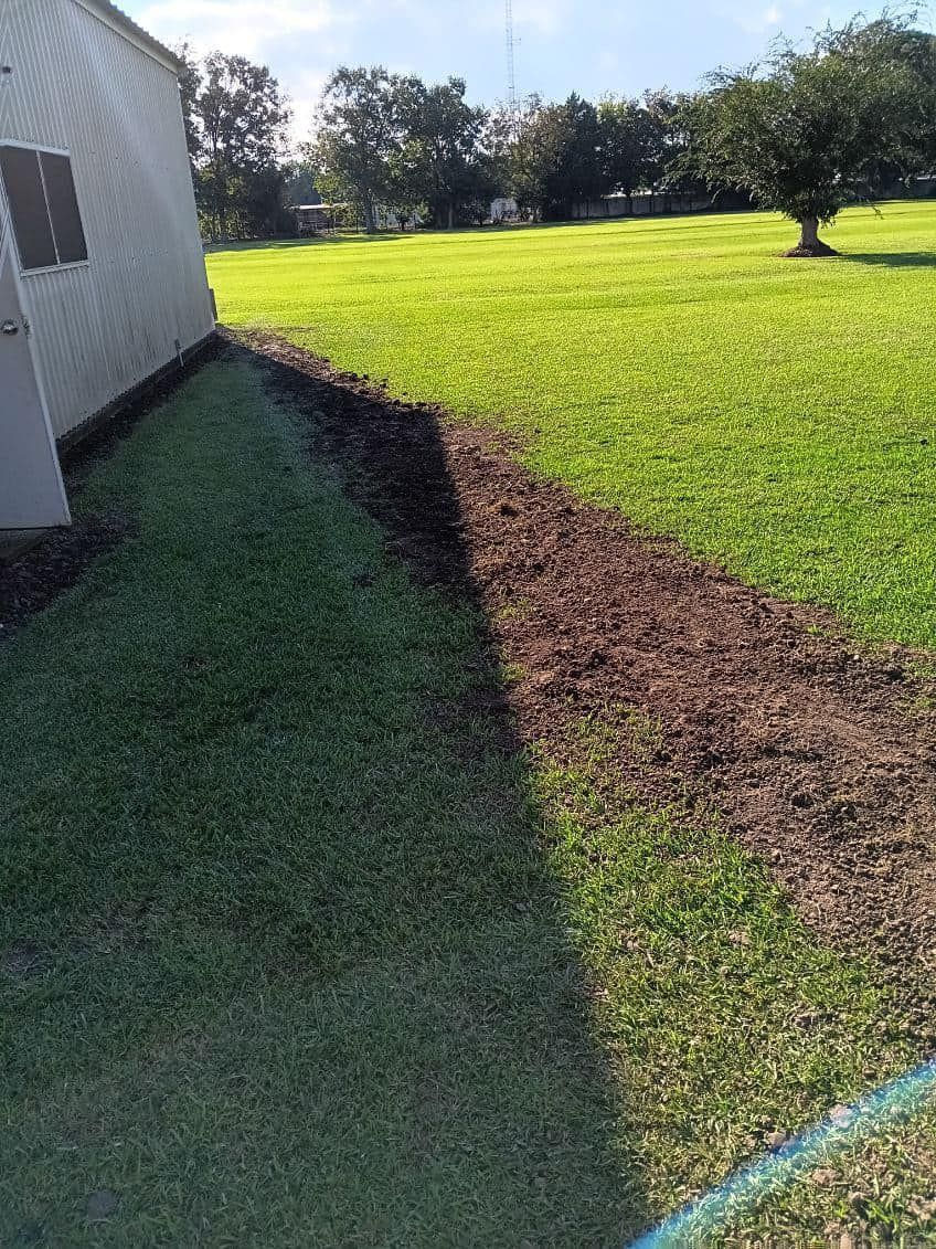 A lawn with a house in the background and a hose in the foreground.