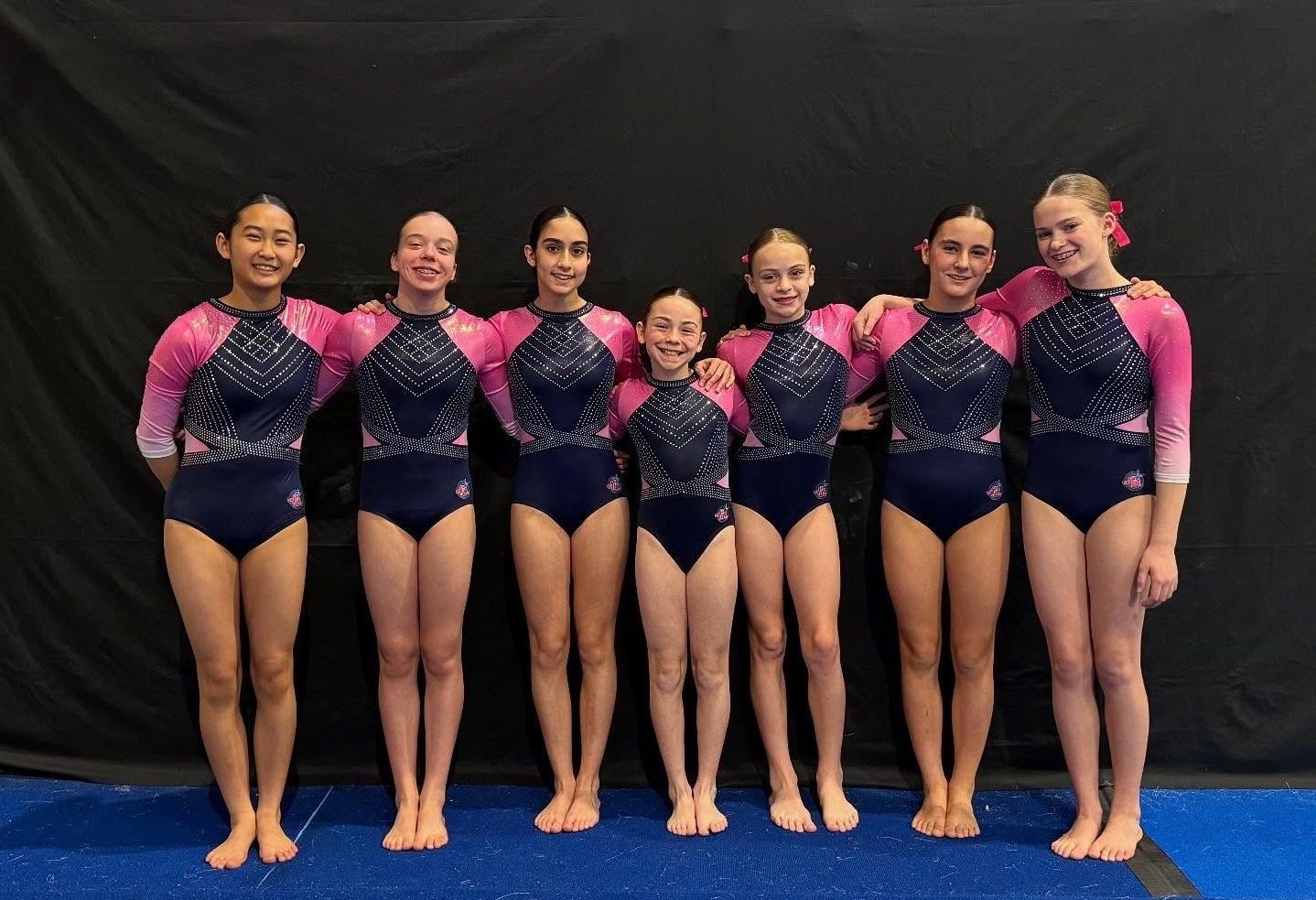 Gymnastics team posing in matching navy and pink leotards.