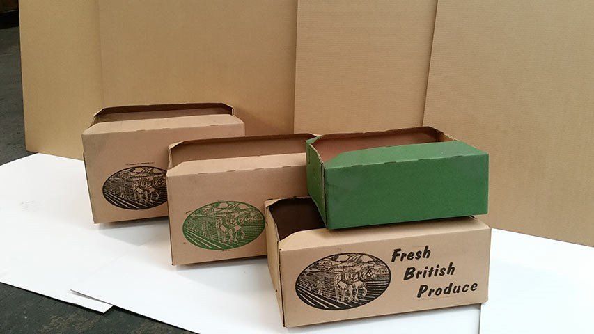 A collection of various small cardboard produce boxes arranged together