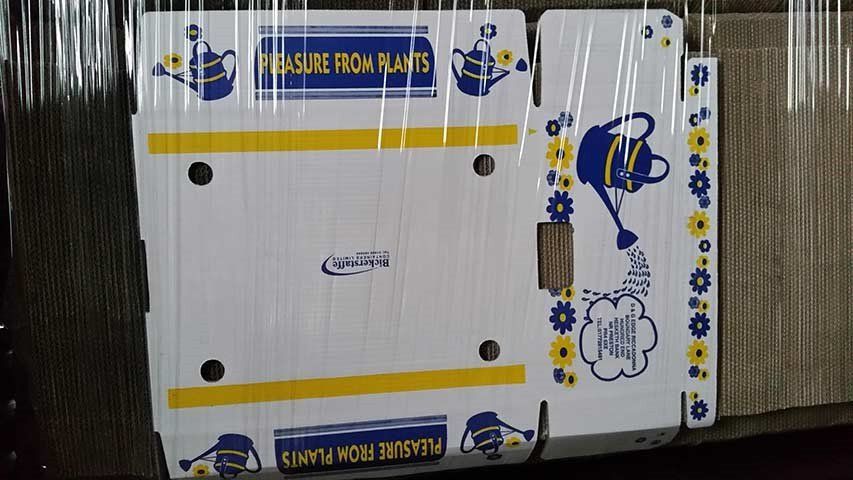 White, blue, and yellow flat packed cardboard packaging wrapped in cellophane