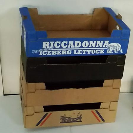 Pile of cardboard packaging for lettuce