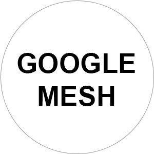 Google mesh logo