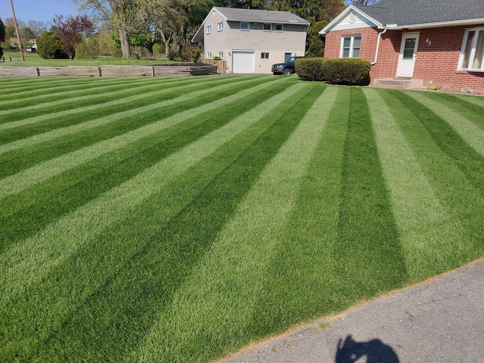 a lawn mowed with stripes 