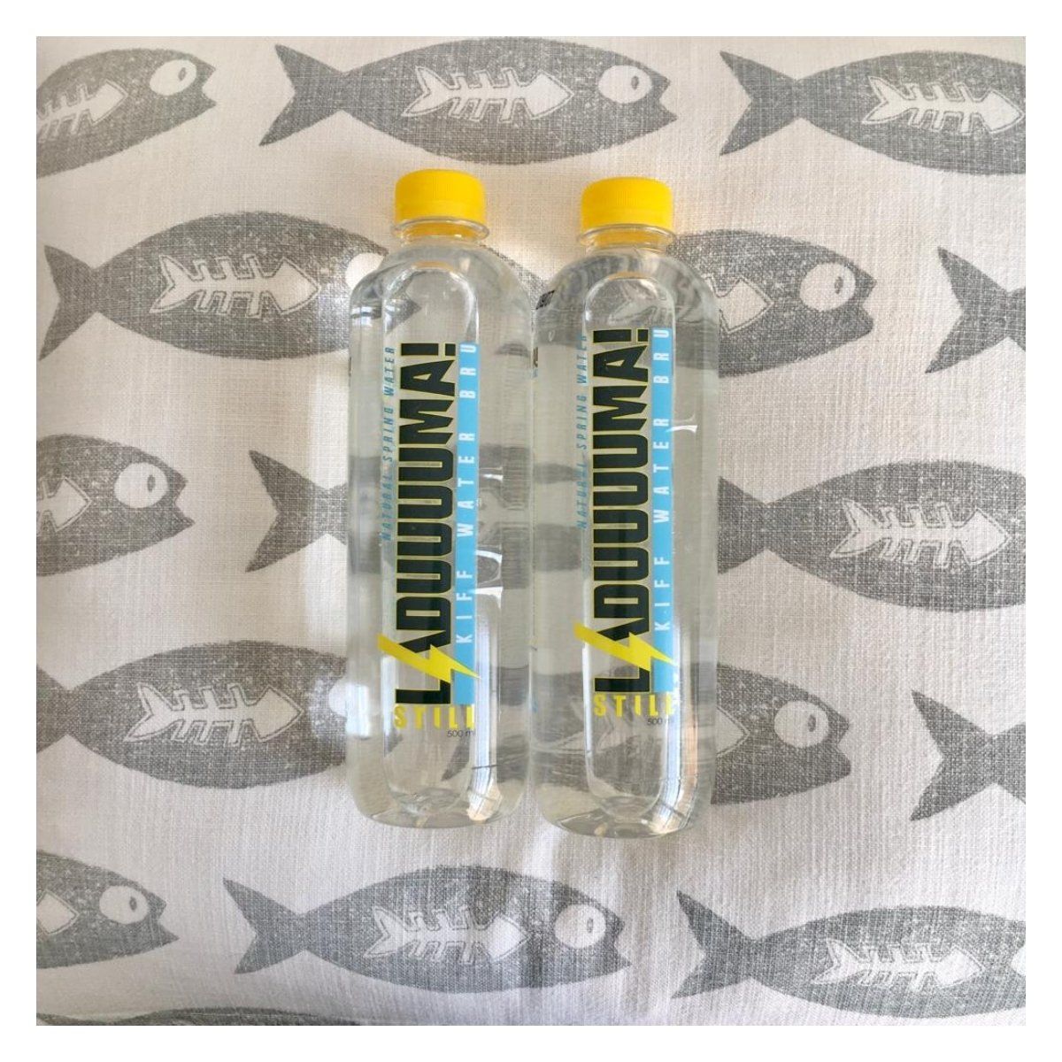 Water companies in South Africa - Laduuuuma