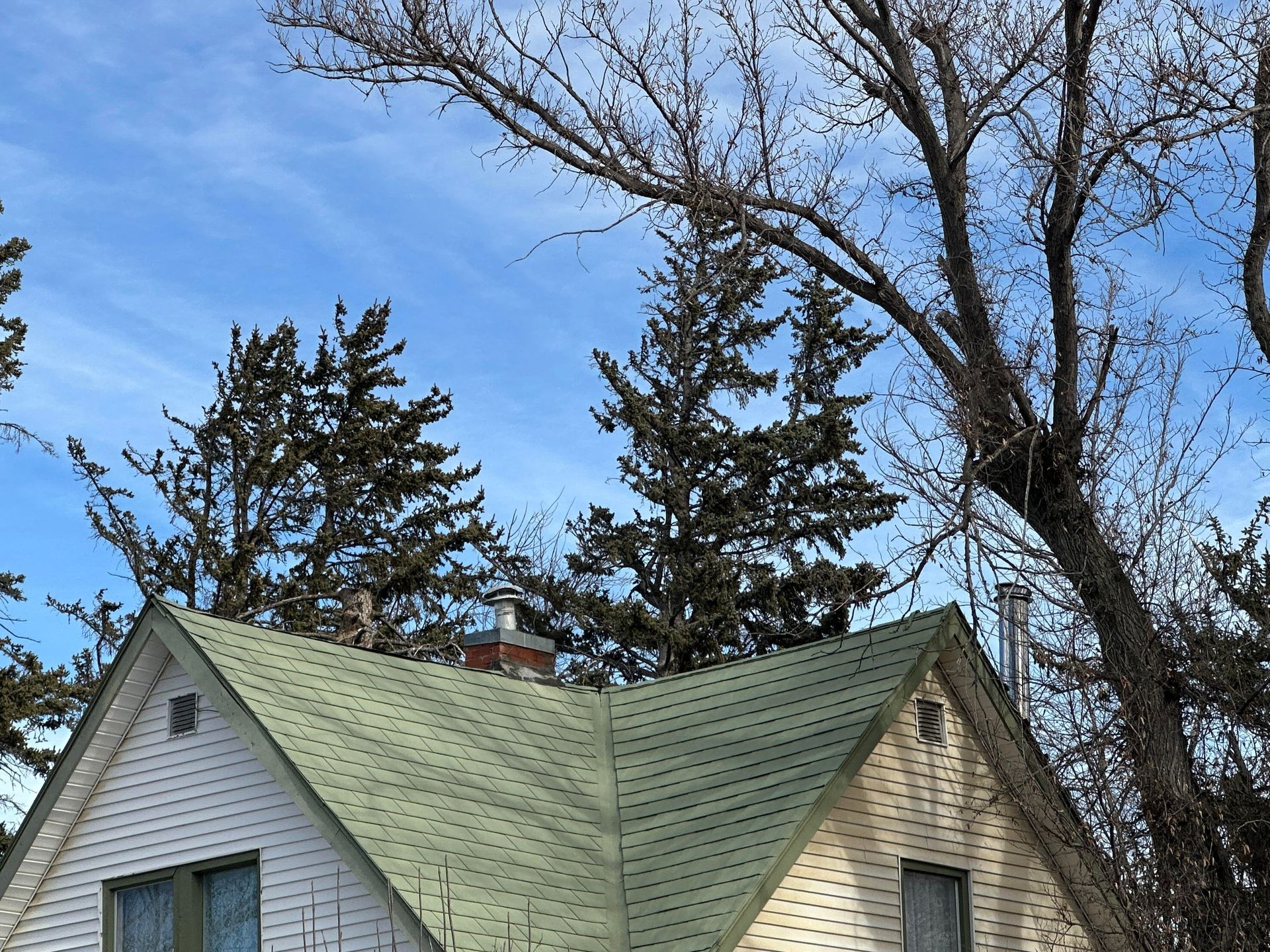 House with green shingled roof and white siding beneath leafless trees against a blue sky