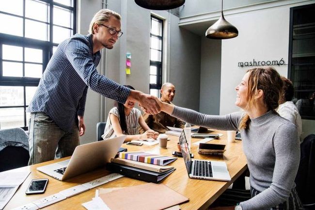 Colleagues in a bright office meeting, shaking hands across a wooden table with laptops and papers