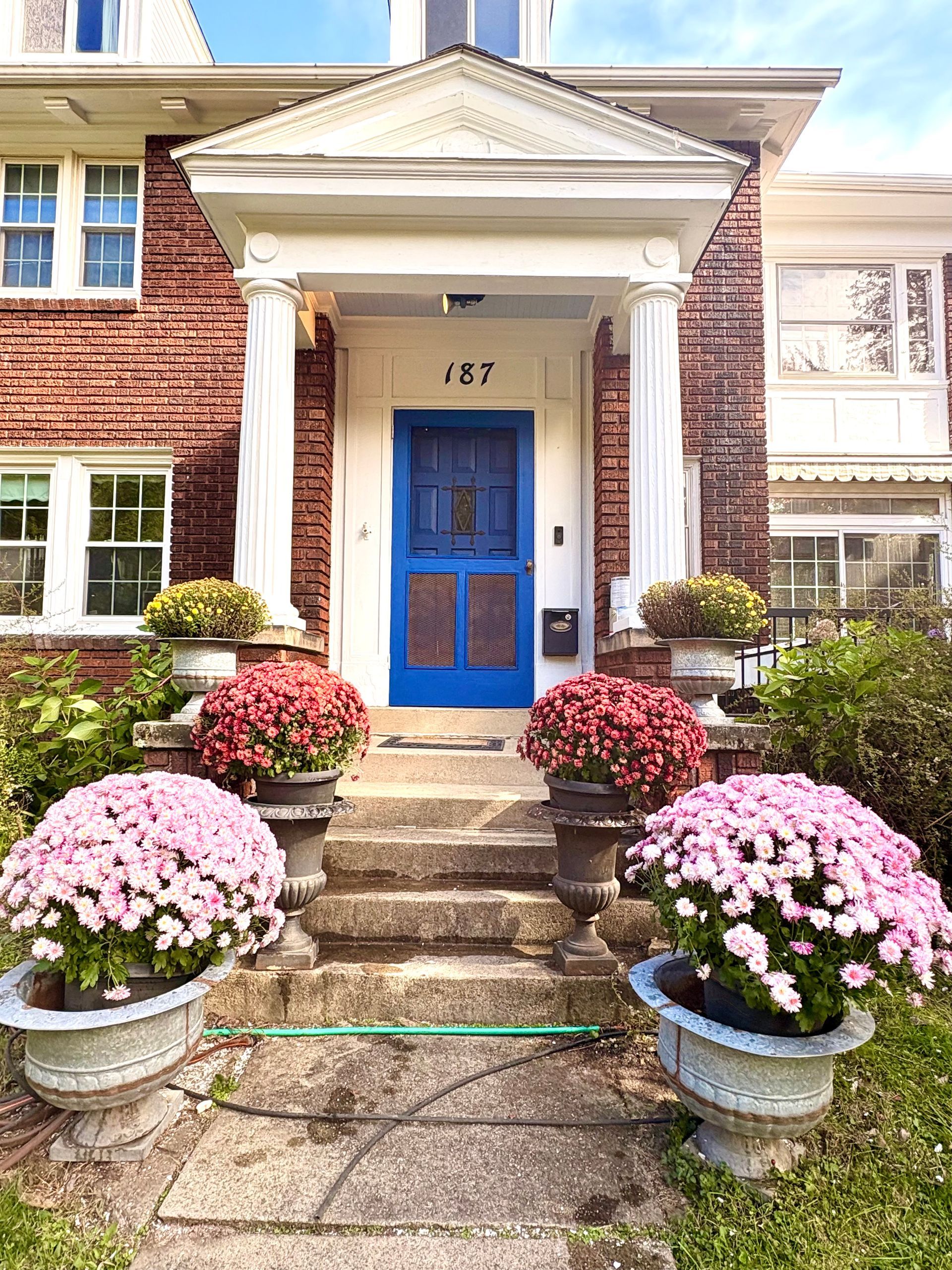 Brick house with blue door, white columns, and pink and red flowers in ornate planters.
