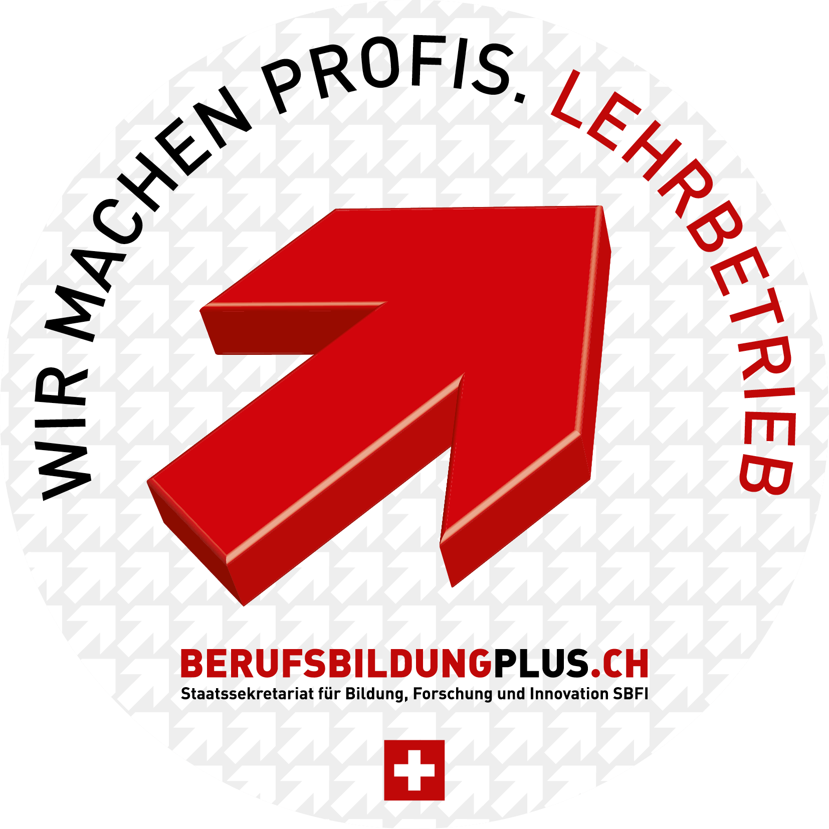 berufsbildungplus.ch logo