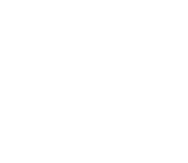 4impact white reversed 20 year anniversary logo