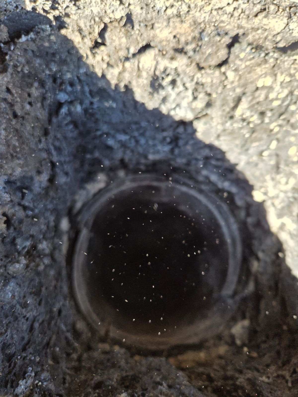 Osserva un buco scuro e cilindrico nel terreno; al centro ci sono piccole macchie bianche.