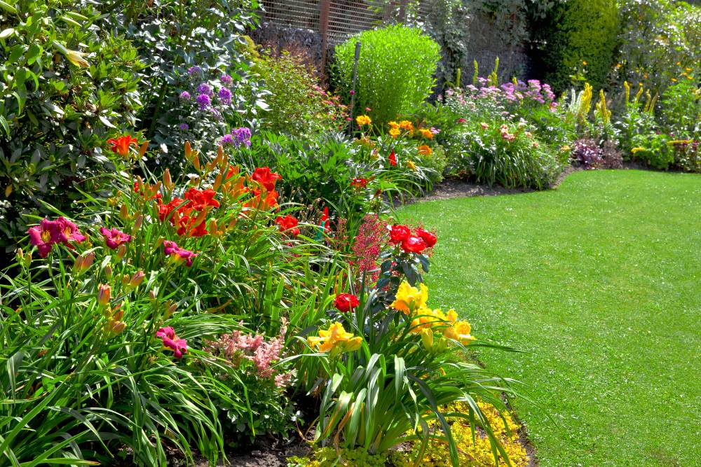 green lawn and a lush border garden full of flowers