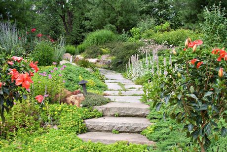 A lovely stone pathway through a garden of flowers and green plants.