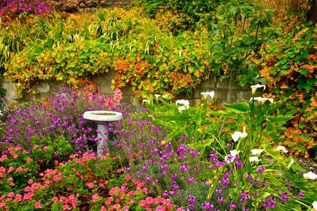a corner of a garden full of colorful flowers and a bird bath in the middle.