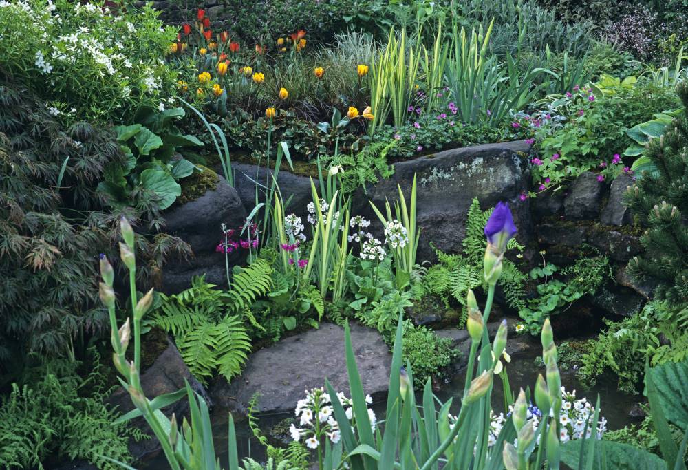 A pocket garden that spills over some rocks.