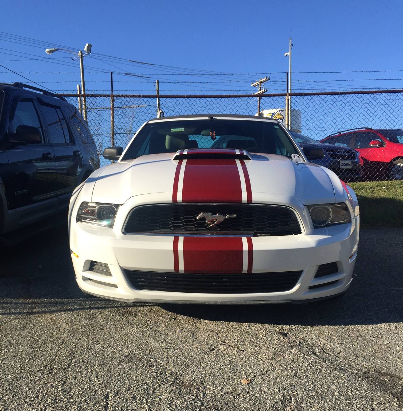 White Ford Mustang with red racing stripes, parked in a lot.