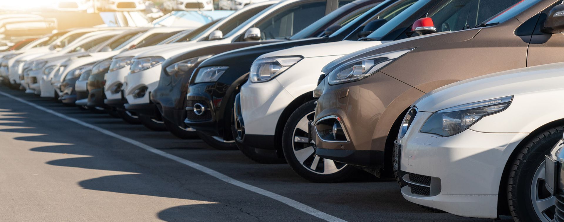 A row of cars in various colors parked in a lot. Sunlight is shining.
