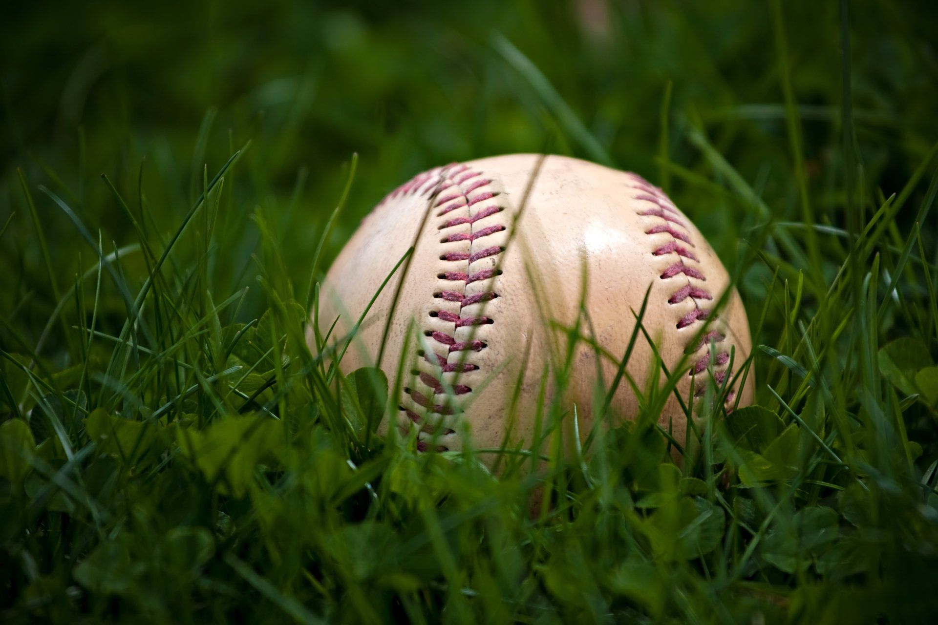 come-watch-some-softball