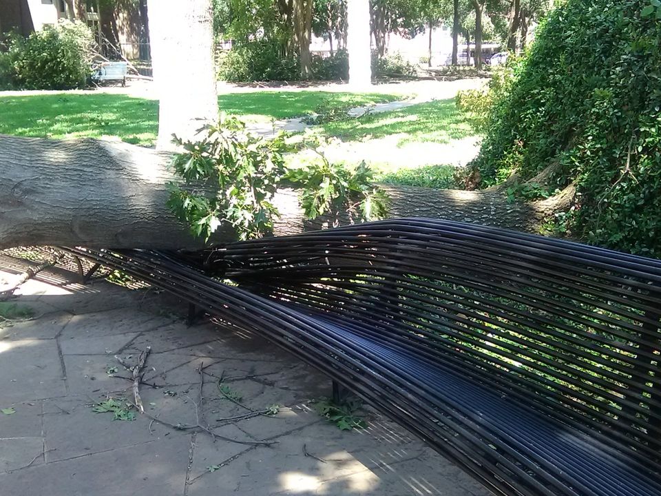 park_bench_damaged_by_fallen_tree