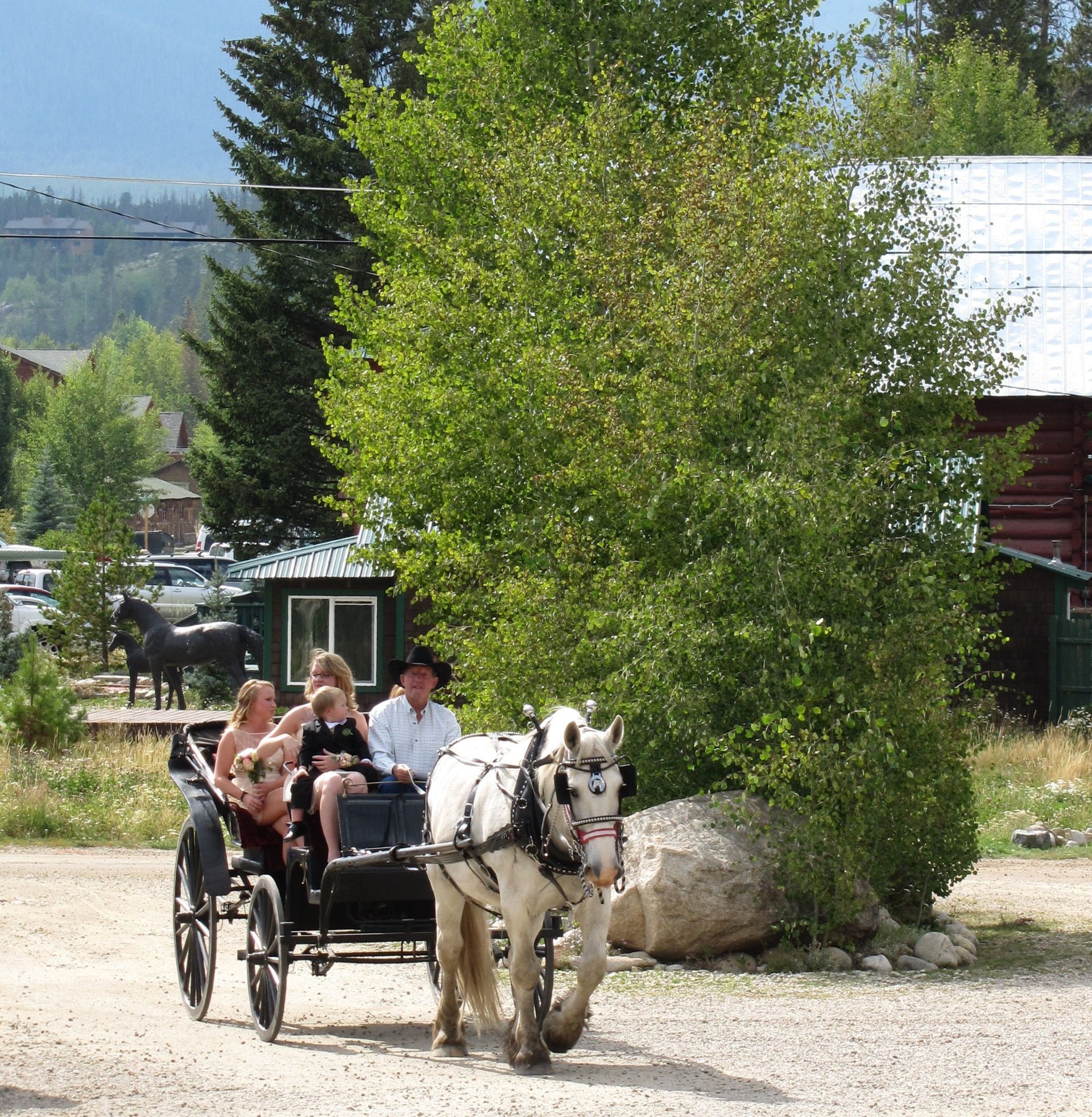 Rapids Lodge & Restaurant