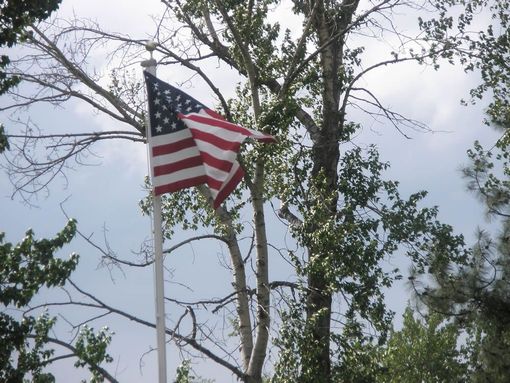 An american flag is flying in the wind in front of trees