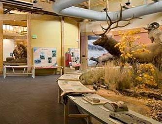 rocky-mountain-elk-foundation-museum