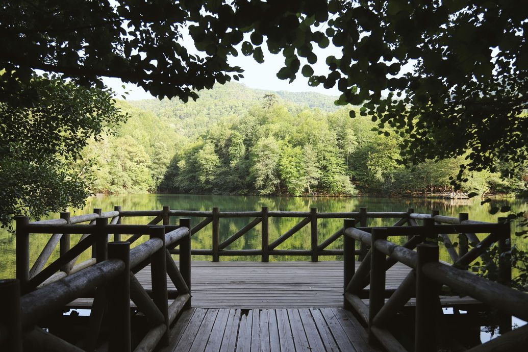 Wooden deck overlooking a calm lake surrounded by green trees, viewed through overhanging leaves.