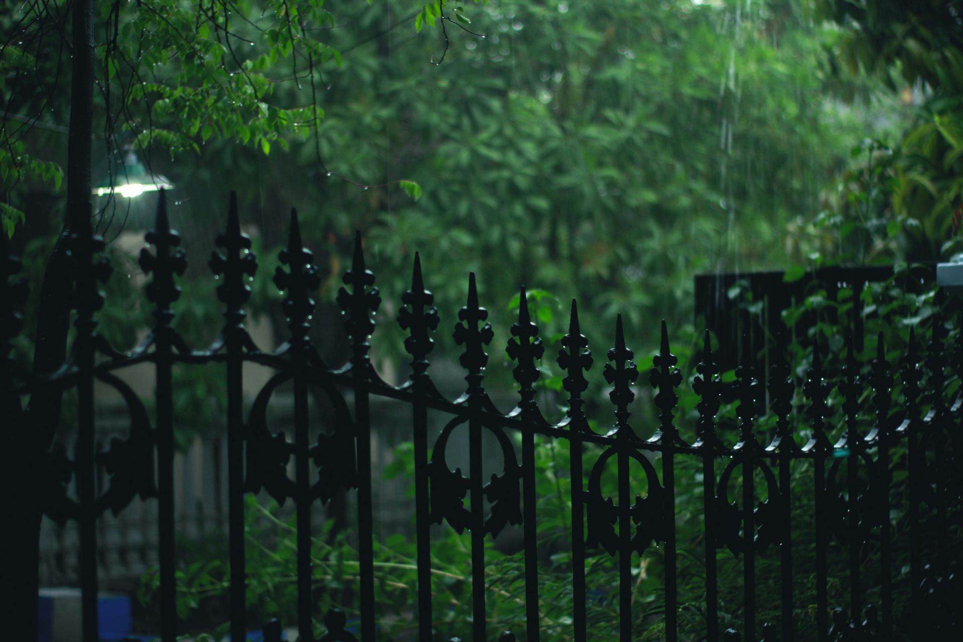 Rain falling behind a black wrought iron fence, with green trees and bushes in the background.