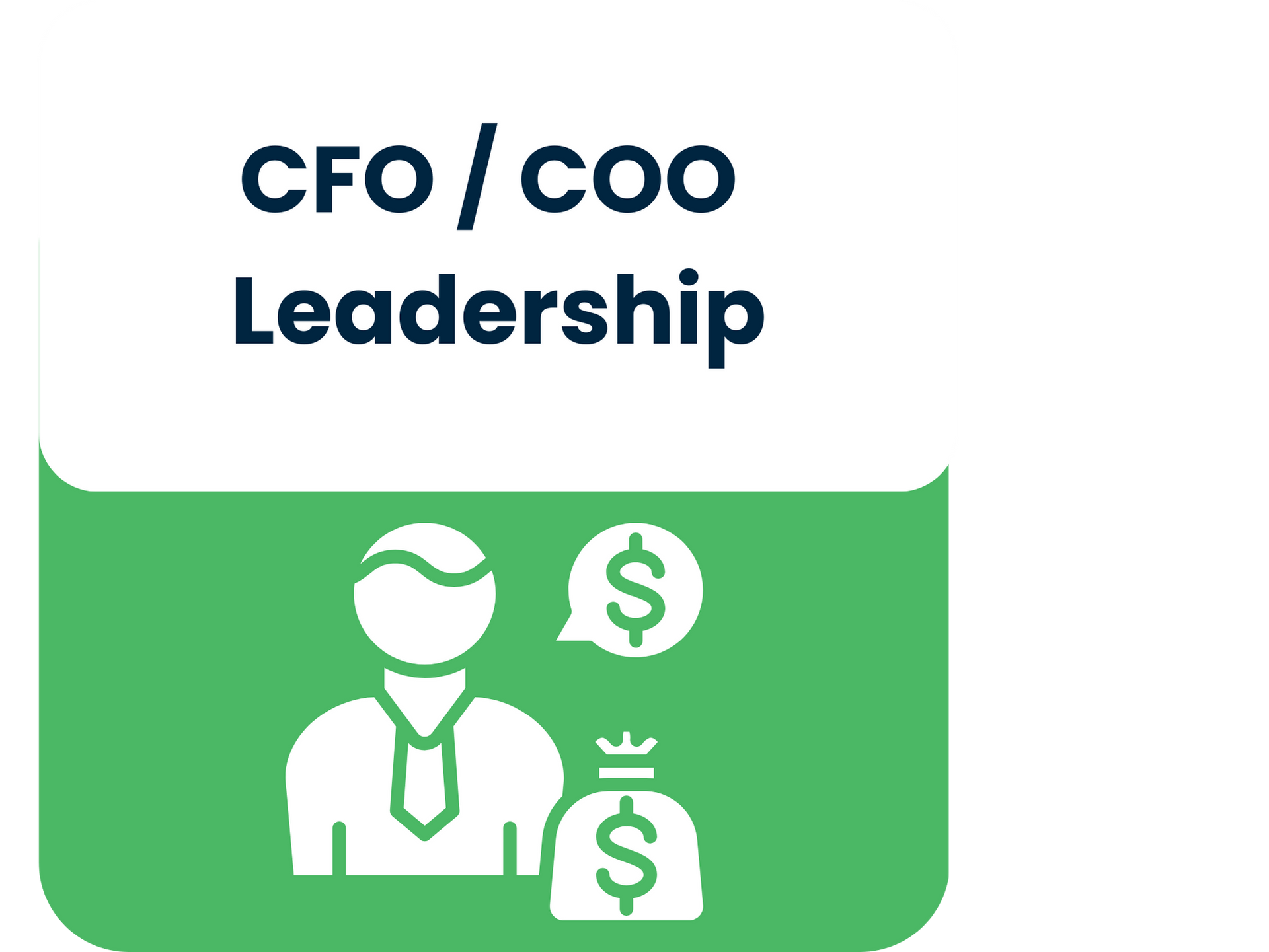 Fractional CFO and COO leadership for finance and operations