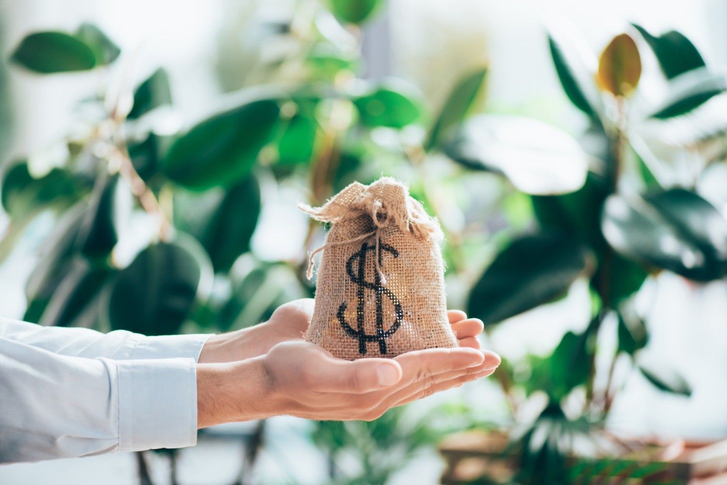 A Person is Holding a Bag of Money With a Dollar Sign on It