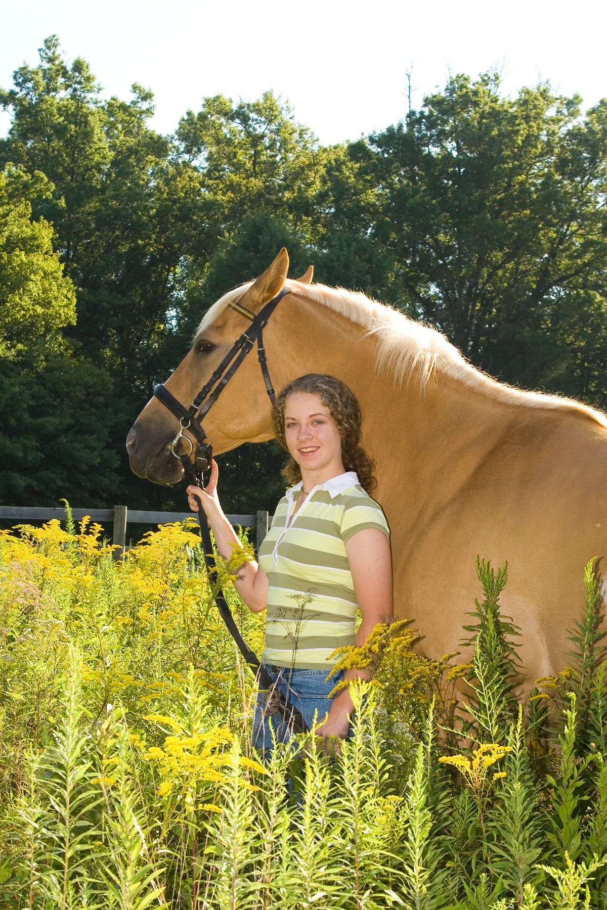 Girl standing beside a tan horse in a sunny field with tall yellow flowers and trees in the background