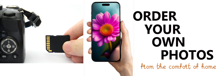 Camera, memory card, and smartphone with flower photo; text reads “ORDER YOUR OWN PHOTOS”