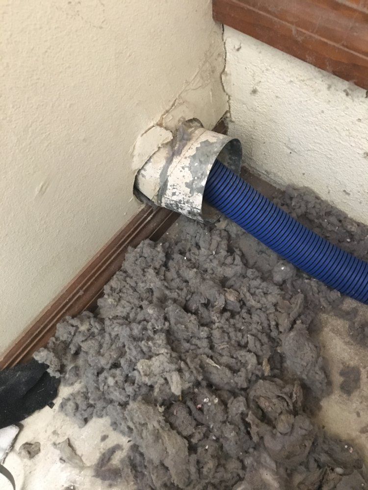 a blue hose is being used to remove dust from a wall