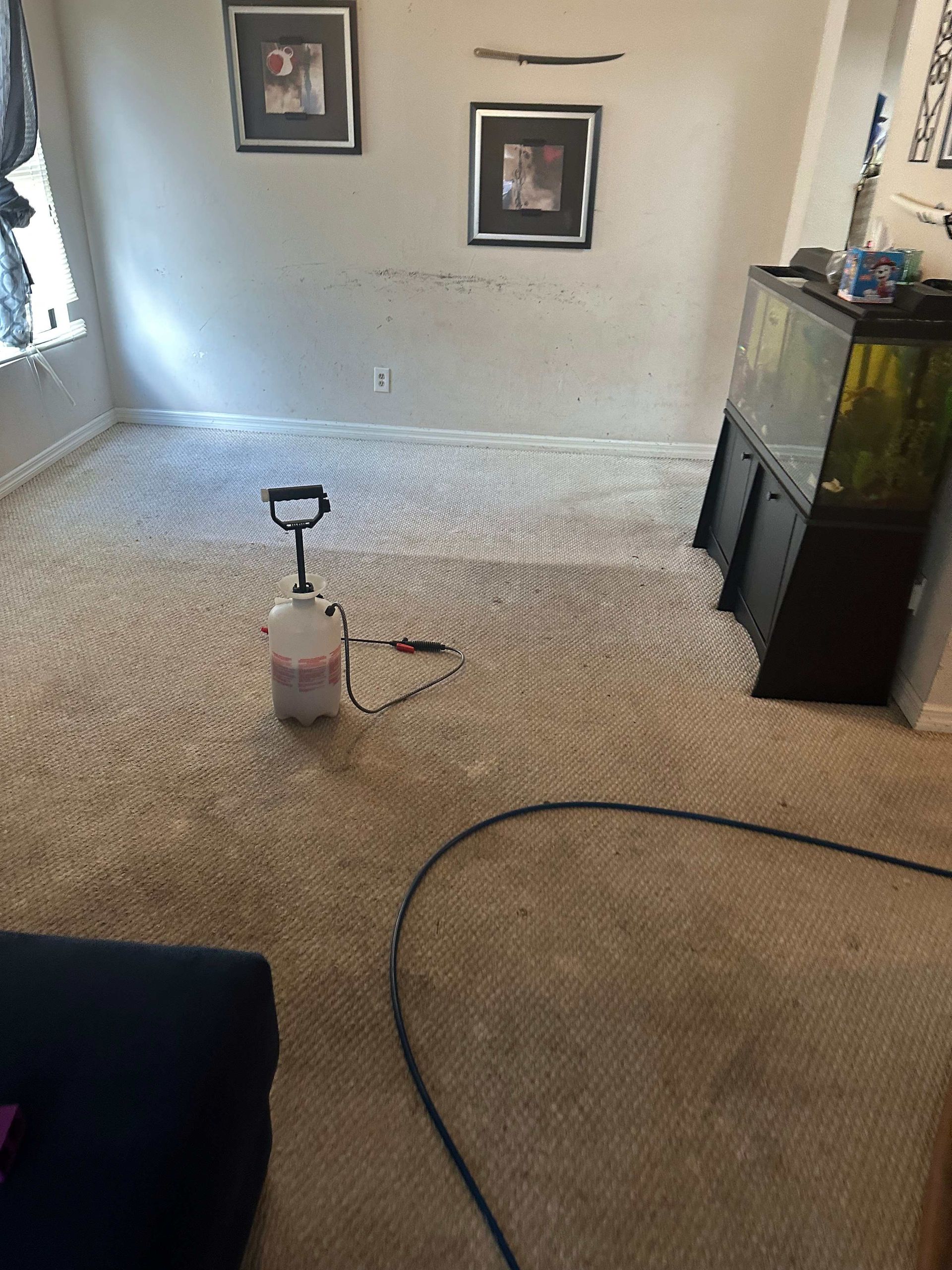 A living room with a carpeted floor and a spray bottle on the floor.