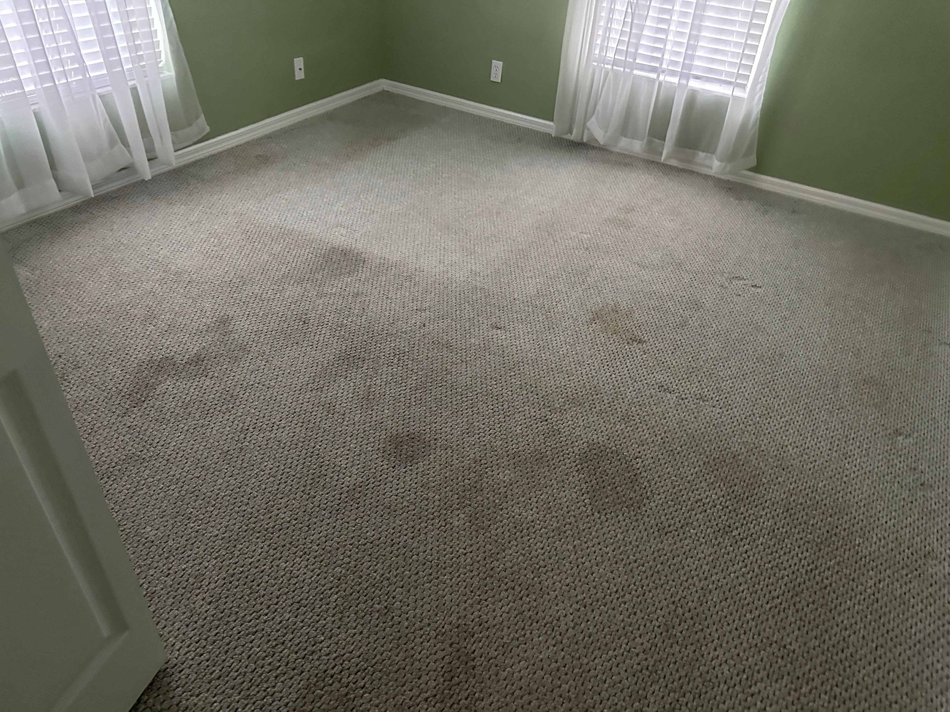 A bedroom with a large carpeted floor and two windows.