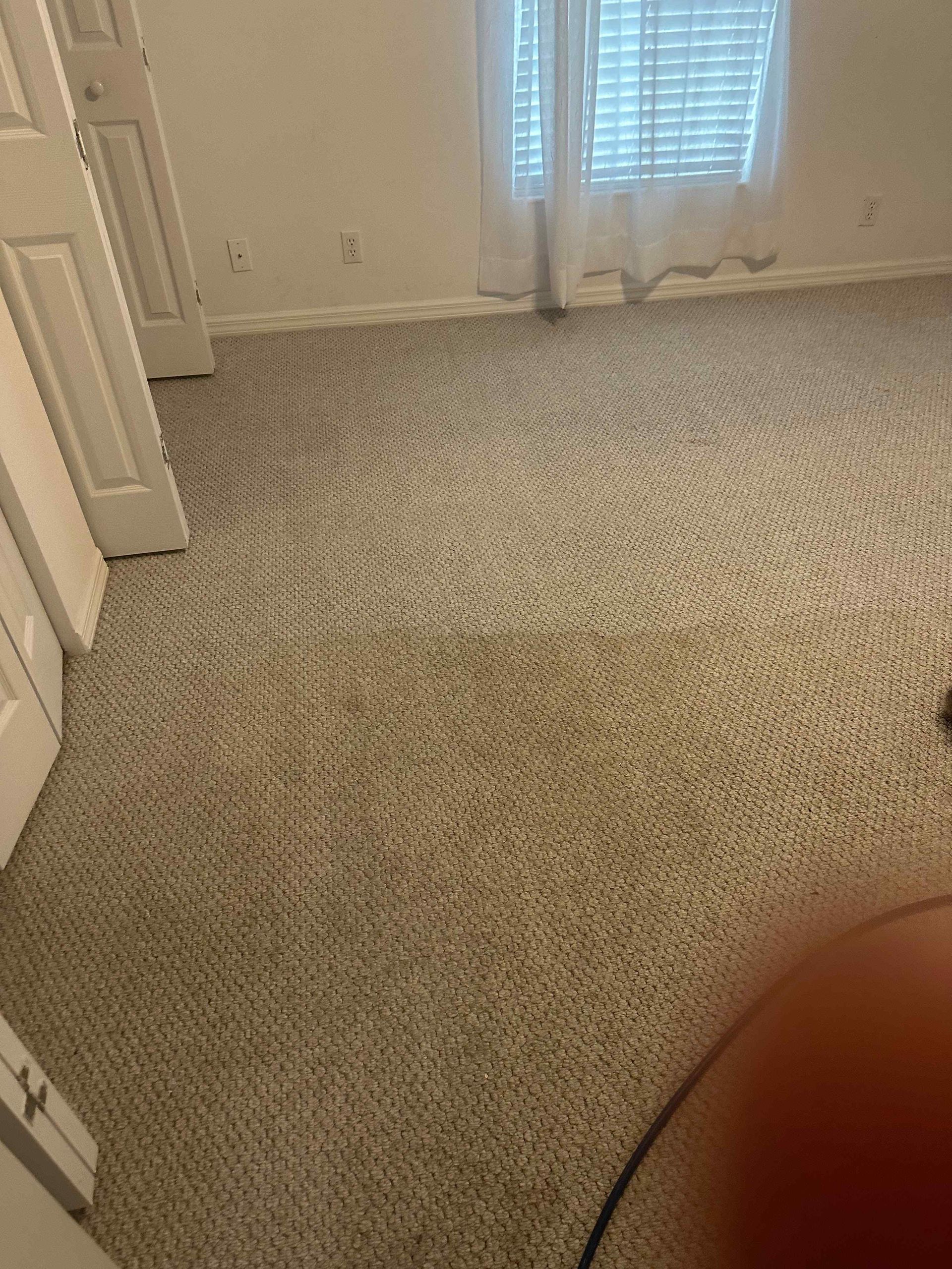 A bedroom with a carpeted floor and a window.