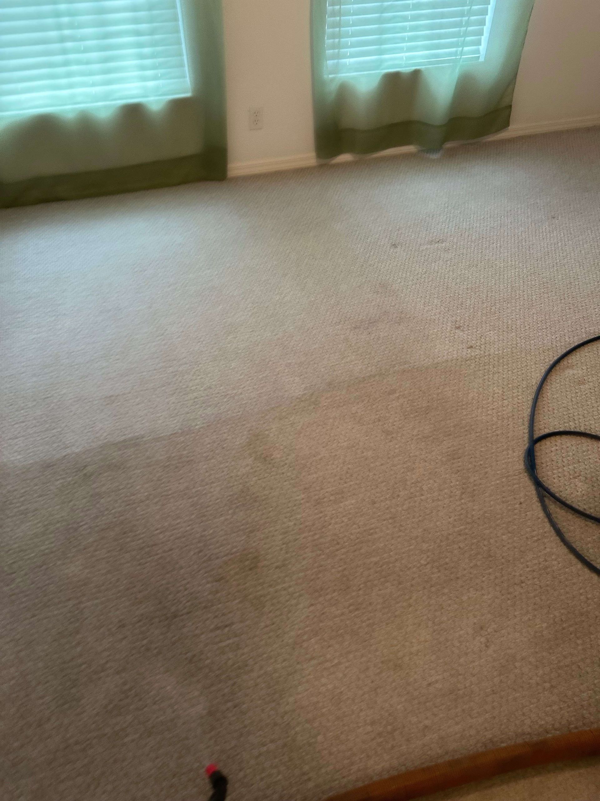 A carpet is being cleaned in a living room with a vacuum cleaner.