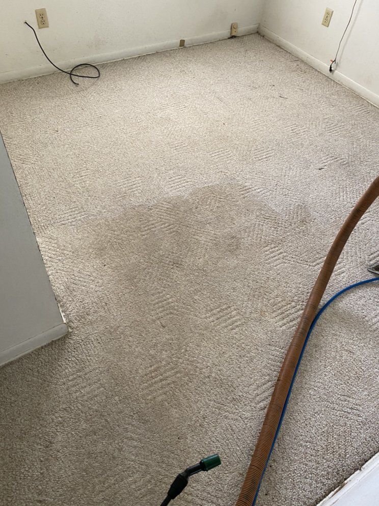 A room with a carpet and a vacuum cleaner on the floor.