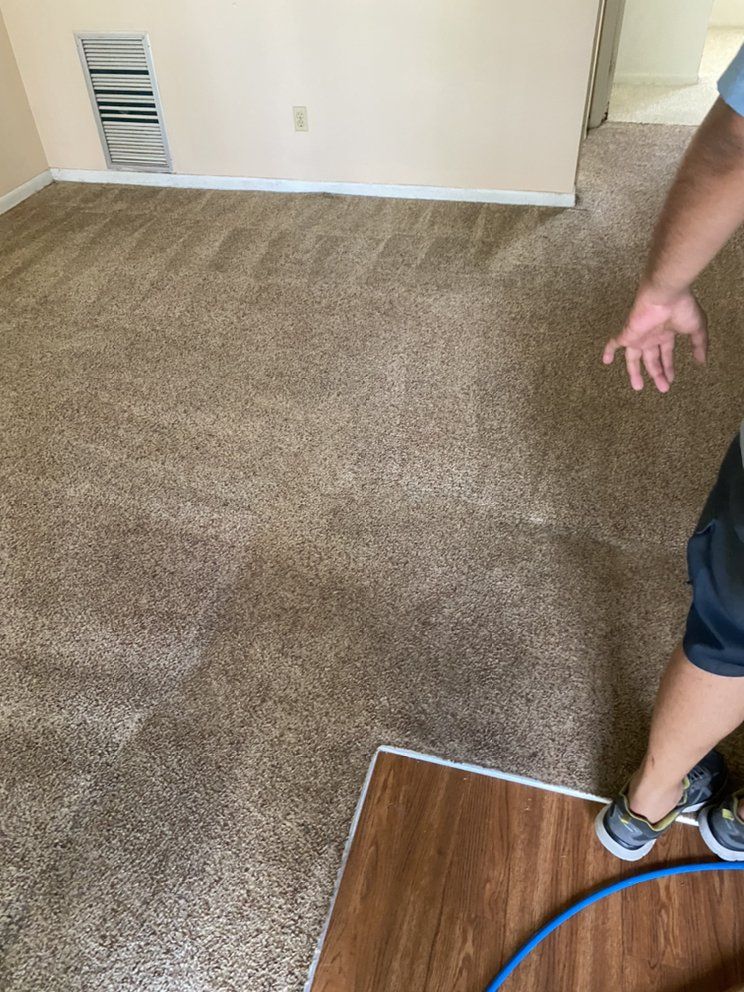 a person is standing on a carpeted floor in a living room