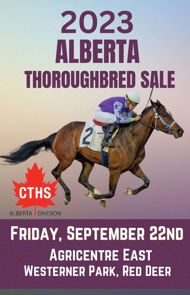 Racing Club - Horse Ownership in Alberta