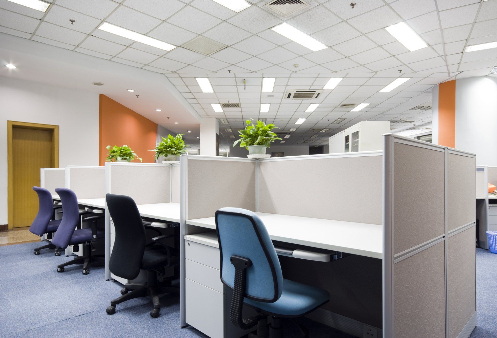 Office Carpet Cleaning in Riverview, FL |  Steemology
