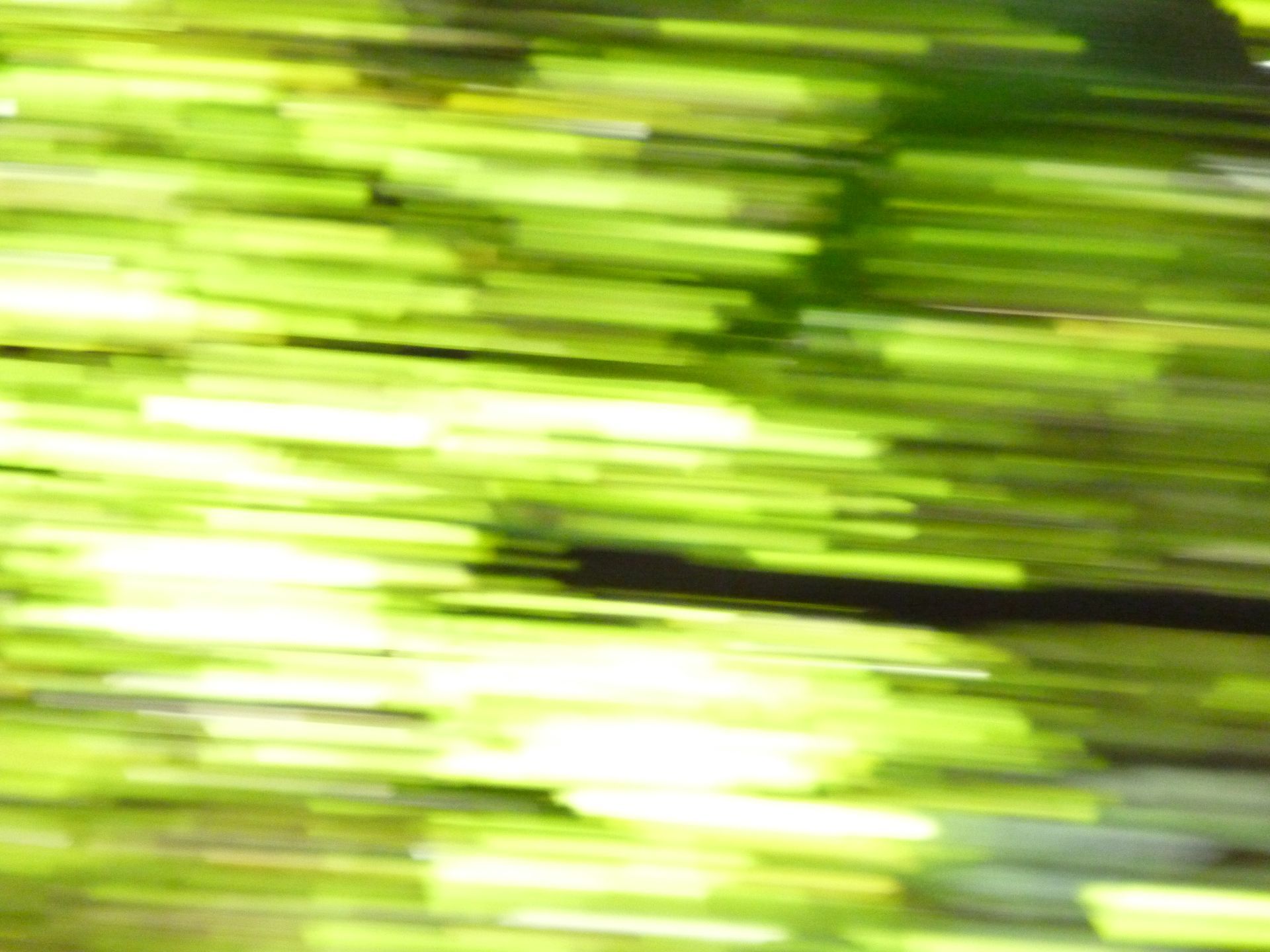 Uma imagem borrada de uma árvore com muitas folhas verdes