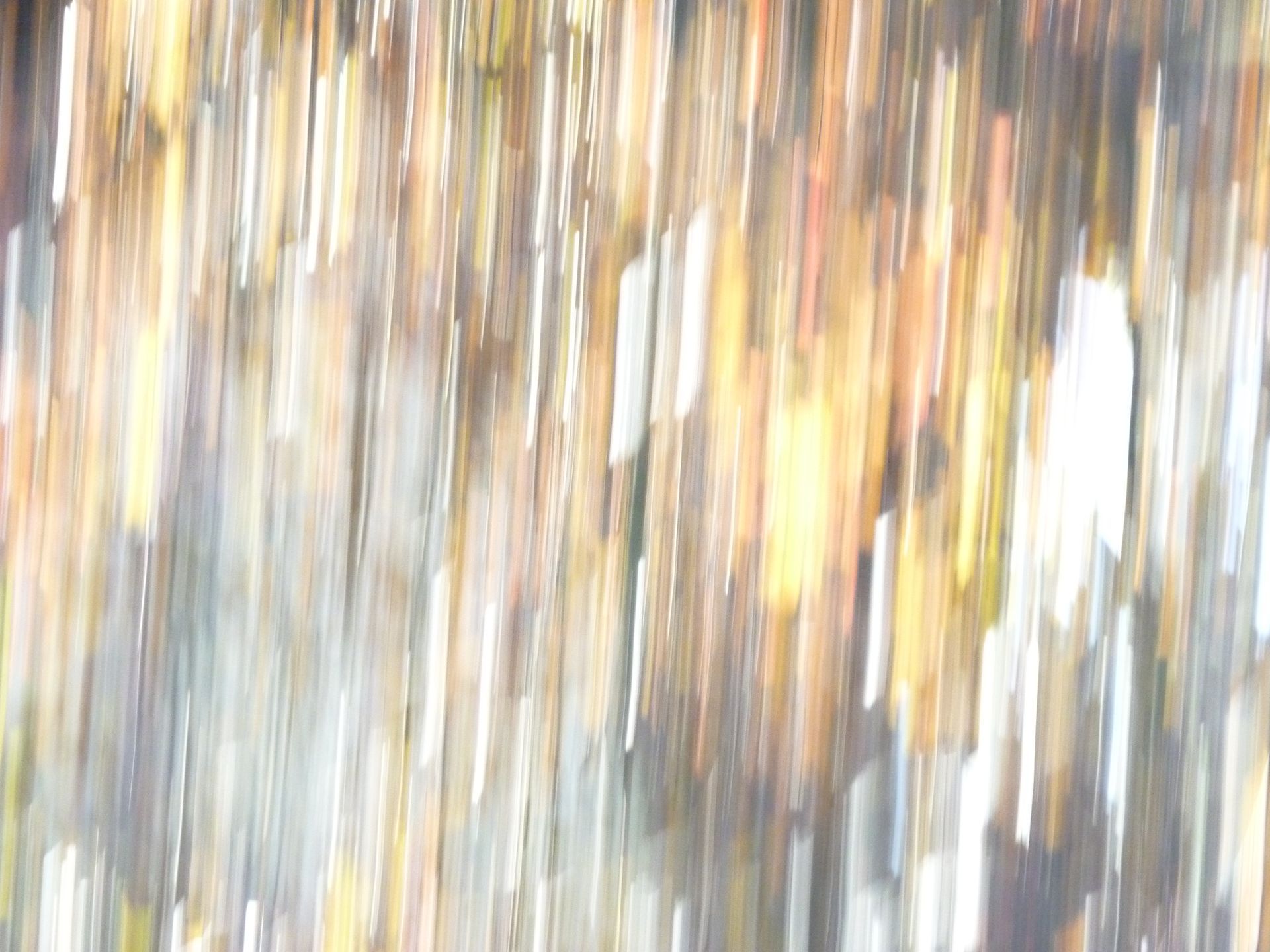 Parece uma imagem borrada de árvores na água.