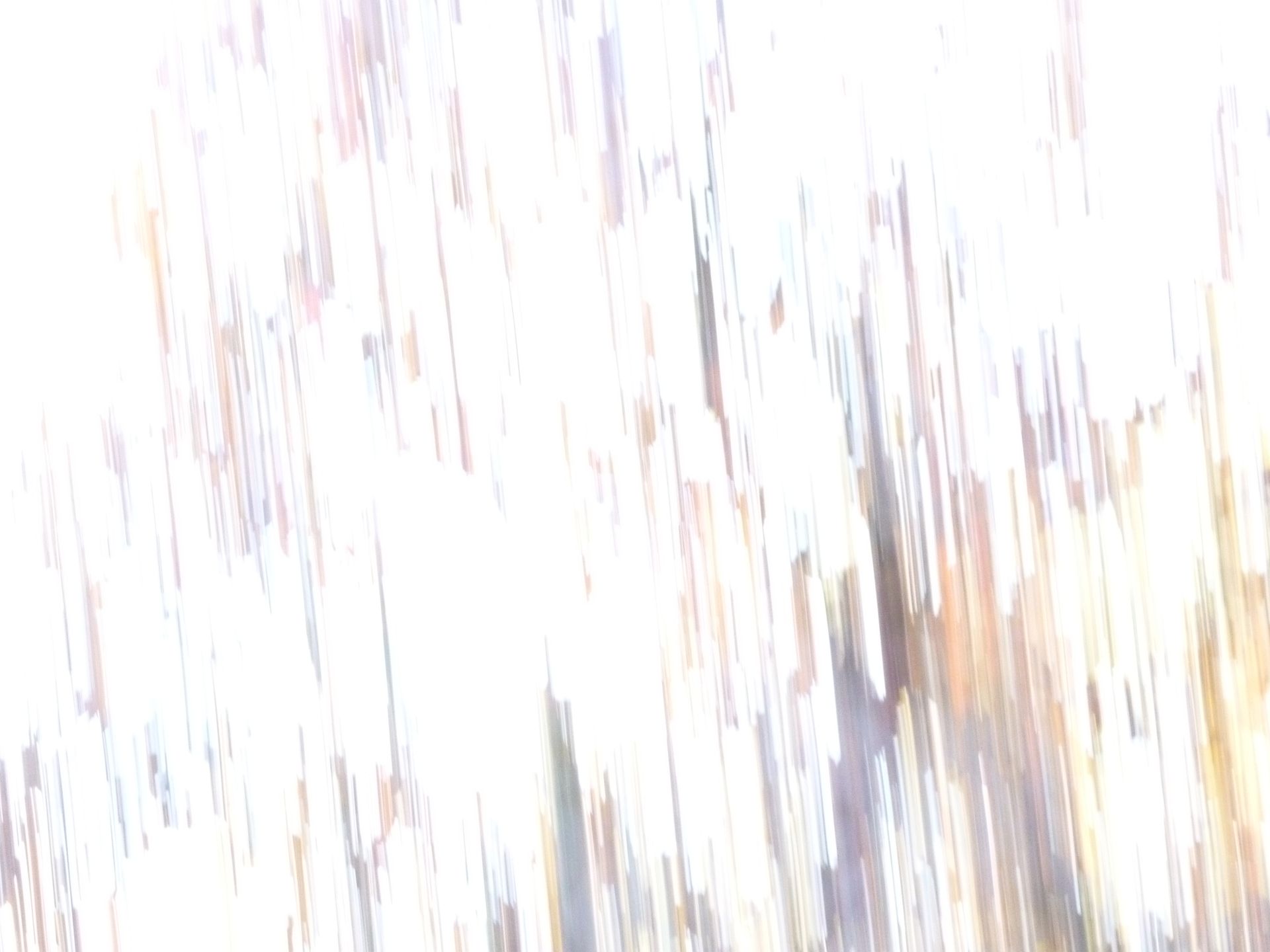 Um fundo branco com muitas linhas