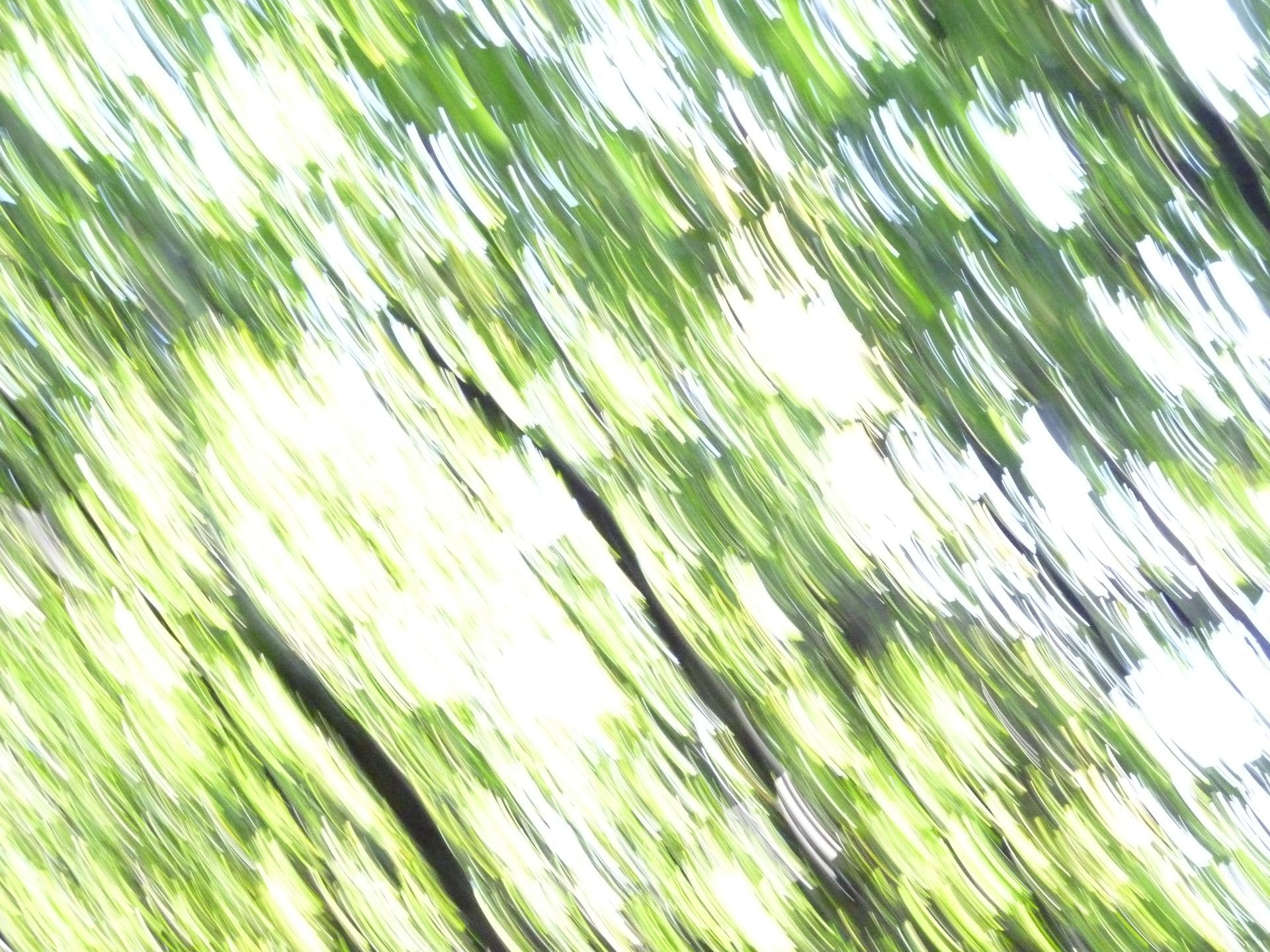 Um close de uma pintura verde e branca com árvores ao fundo.