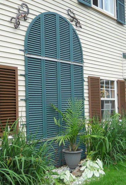 Green arched shutter leans against a beige building, framed by brown shutters and lush green plants.