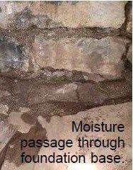 moisture damage inspection