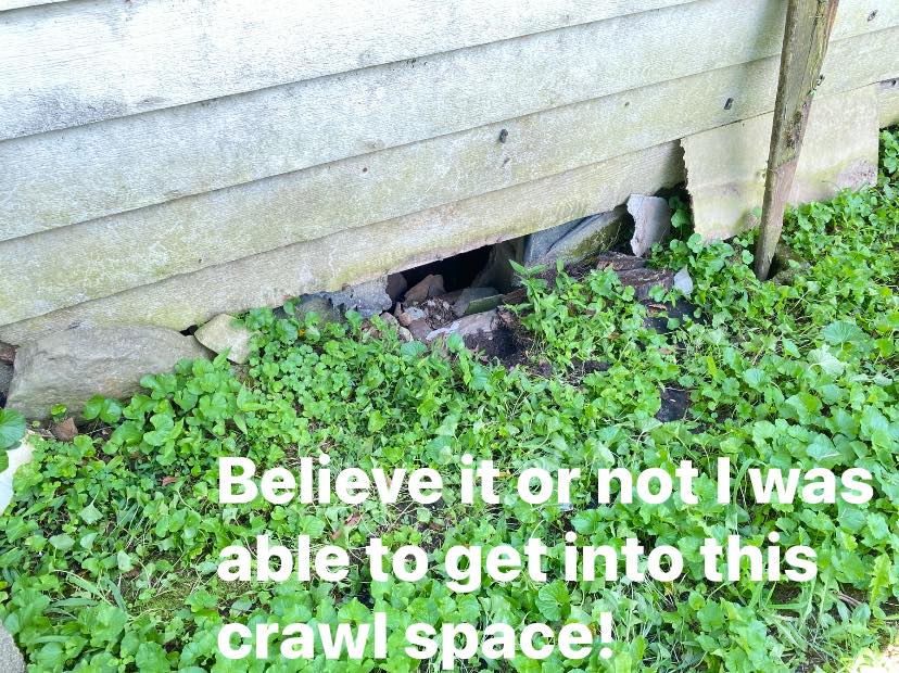 professional home inspector